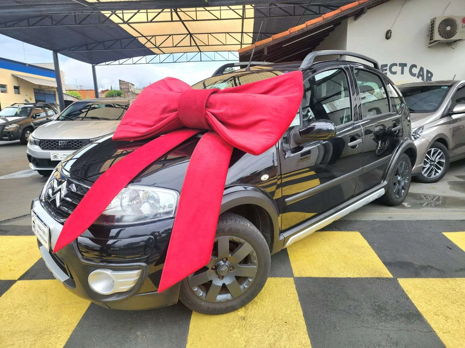 Entrega de veículo Select Car 6